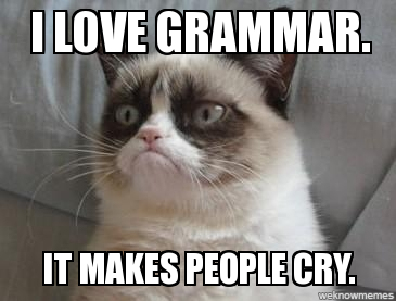 http://weknowmemes.com/generator/meme/Grumpy-Cat-I-love-grammar/228909/
